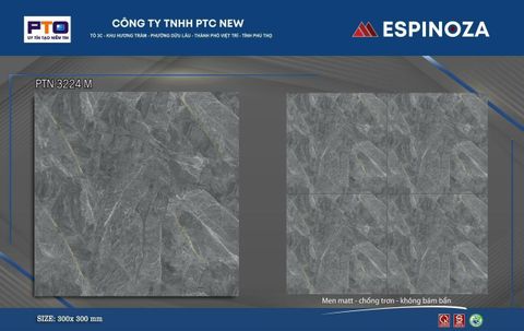 Gạch 30x30 Thanh Hà PTN3224M