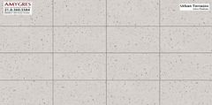 Gạch 30x60 Á Mỹ 21.A.360. 3384
