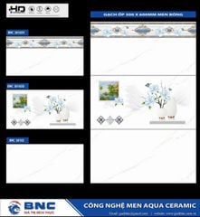 Gạch 30x60 BNC 36163 36165D 36165V