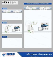 Gạch 30x60 BNC 36164 36164D 36164V
