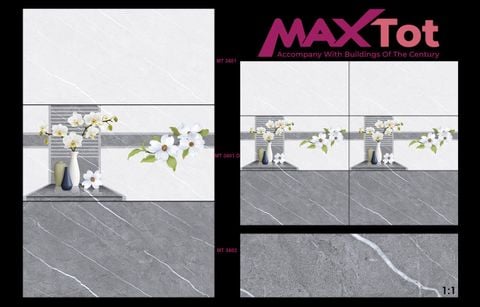 Gạch 30x60 Hacera MTM3601 MTM3601D MTM3602