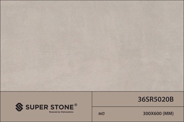 Gạch 30x60 Nhập Khẩu Ấn Độ 36SR5020B