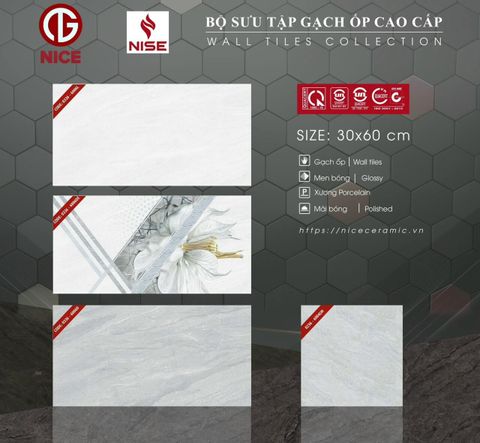 Gạch 30x60 Nice 6006D 6006DE 6006L