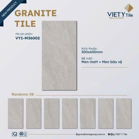 Gạch 30x60 Việt Ý VY1-M36002