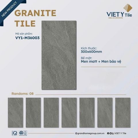 Gạch 30x60 Việt Ý VY1-M36003