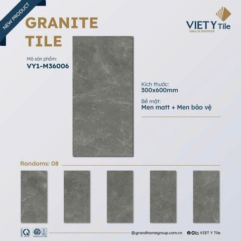 Gạch 30x60 Việt Ý VY1-M36006