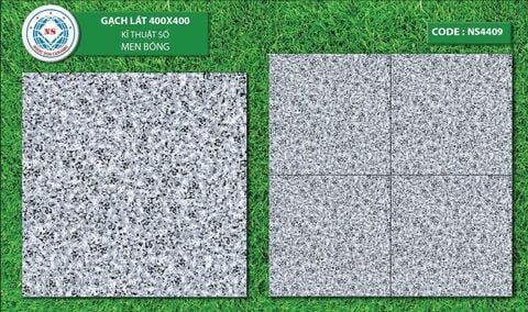 Gạch 40x40 Ngọc Sơn NS4409