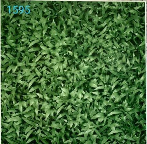Gạch 40x40 Prime 1595
