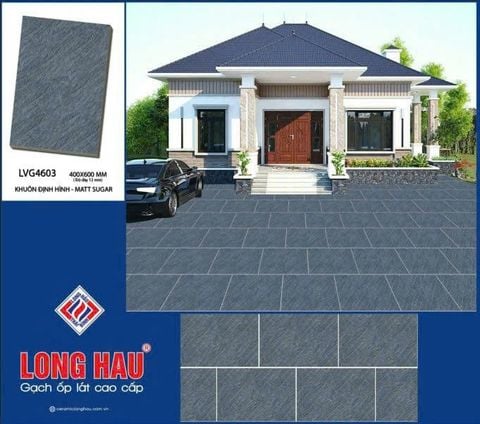 Gạch 40x60 Long Hầu LVG4603