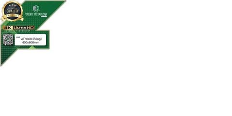 Gạch 40x80 Gạch Hoàng Hà AT9800:Thân