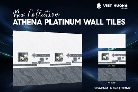 Gạch 40x80 Gạch Hoàng Hà AT9807 ATD9807 AT9808