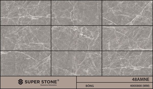 Gạch 40x80 Nhập Khẩu Ấn Độ 48AMNE