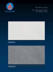 Gạch 40x80 Viglacera HM4801 HM4802