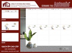 Gạch 40x80 Vĩnh Thắng AB4806 AB4806D AB4806V