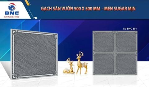 Gạch 50x50 BNC 501 sân