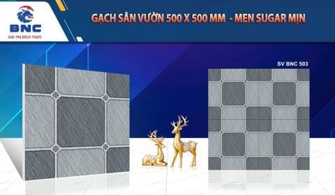 Gạch 50x50 BNC 503 sân