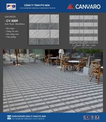 Gạch 50x50 Cosevco CV5009