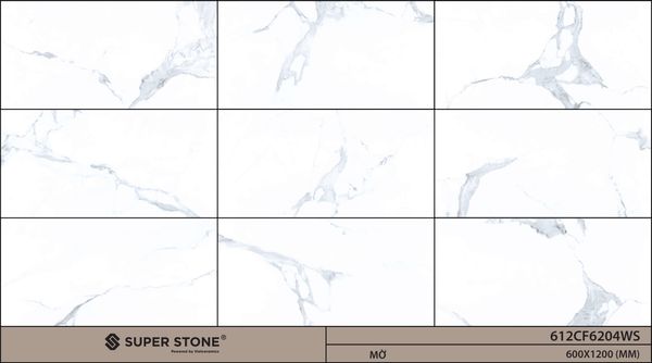 Gạch 60x120 Nhập Khẩu Ấn Độ 612CF6204WS