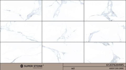 Gạch 60x120 Nhập Khẩu Ấn Độ 612CF6204WS