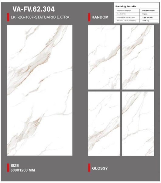 Gạch 60x120 Nhập Khẩu Ấn Độ 62304