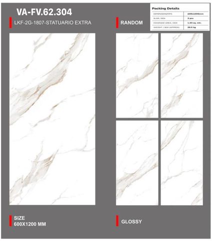 Gạch 60x120 Nhập Khẩu Ấn Độ 62304