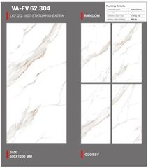 Gạch 60x120 Nhập Khẩu Ấn Độ 62304