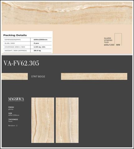 Gạch 60x120 Nhập Khẩu Ấn Độ 62305