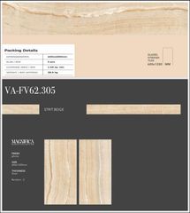 Gạch 60x120 Nhập Khẩu Ấn Độ 62305