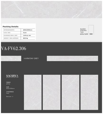 Gạch 60x120 Nhập Khẩu Ấn Độ 62306