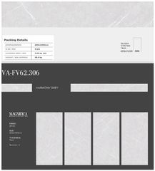 Gạch 60x120 Nhập Khẩu Ấn Độ 62306