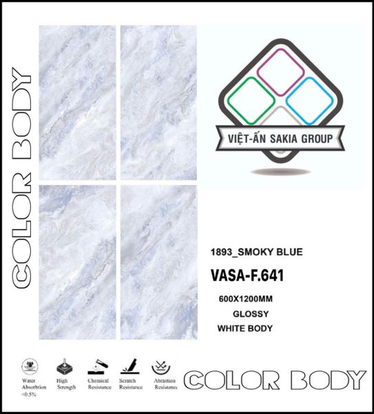 Gạch 60x120 Nhập Khẩu Ấn Độ F.641