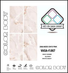 Gạch 60x120 Nhập Khẩu Ấn Độ F.667