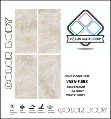 Gạch 60x120 Nhập Khẩu Ấn Độ F.668
