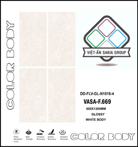 Gạch 60x120 Nhập Khẩu Ấn Độ F.669