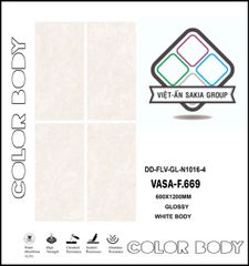 Gạch 60x120 Nhập Khẩu Ấn Độ F.669