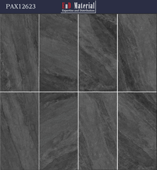 Gạch 60x120 Nhập khẩu Trung Quốc PAX12623