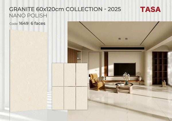Gạch 60x120 Tasa 1649