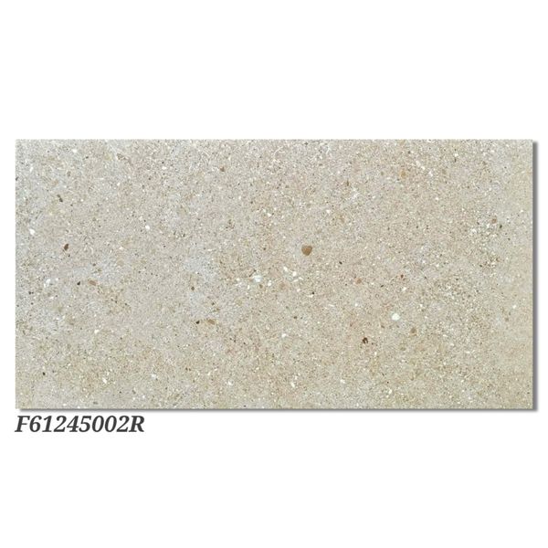 Gạch 60x120 Ý Mỹ F61245002R