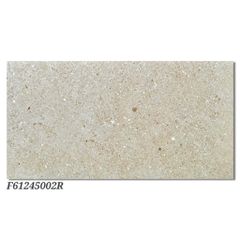 Gạch 60x120 Ý Mỹ F61245002R