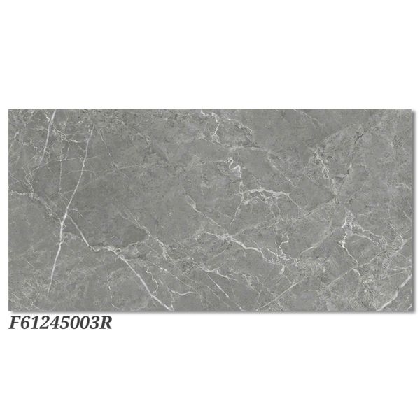 Gạch 60x120 Ý Mỹ F61245003R