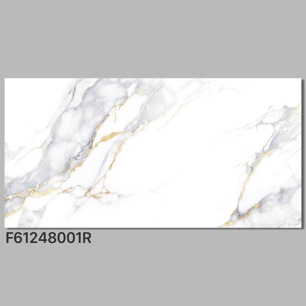 Gạch 60x120 Ý Mỹ F61248001R