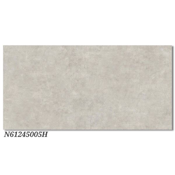 Gạch 60x120 Ý Mỹ N61245005H