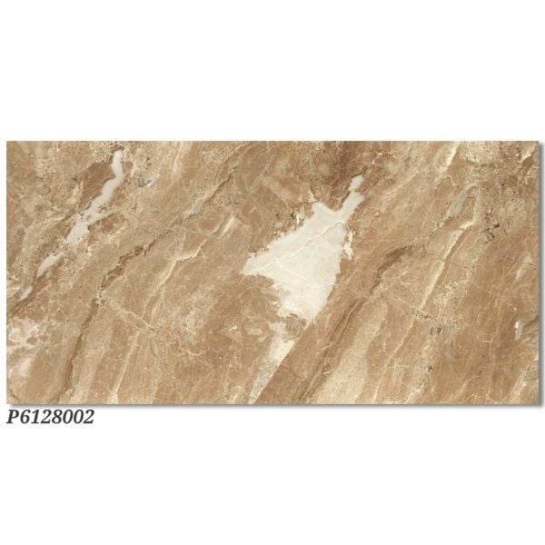 Gạch 60x120 Ý Mỹ P6128002