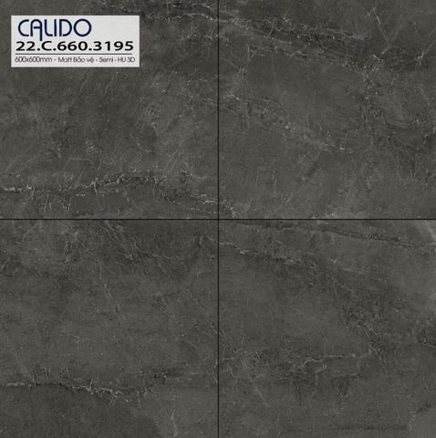 Gạch 60x60 Á Mỹ CL3195