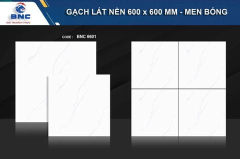 Gạch 60x60 BNC 6601 Ceramic