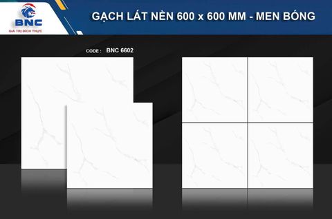 Gạch 60x60 BNC 6602 Ceramic