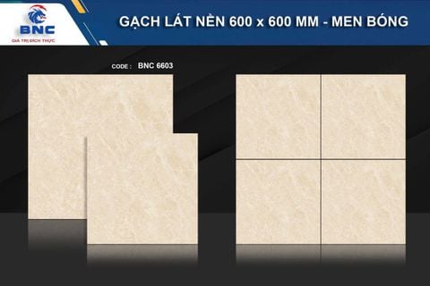 Gạch 60x60 BNC 6603:Ceramic