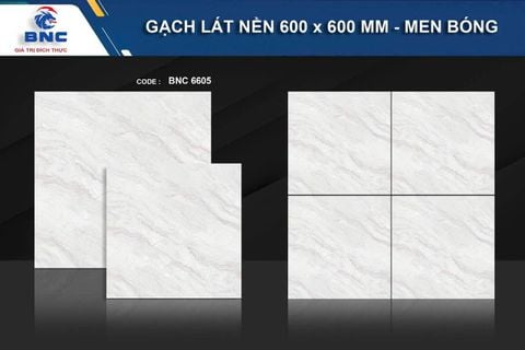 Gạch 60x60 BNC 6605 Ceramic
