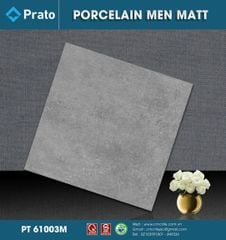 Gạch 60x60 CMC PT61003M