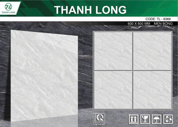 Gạch 60x60 DIC 6369